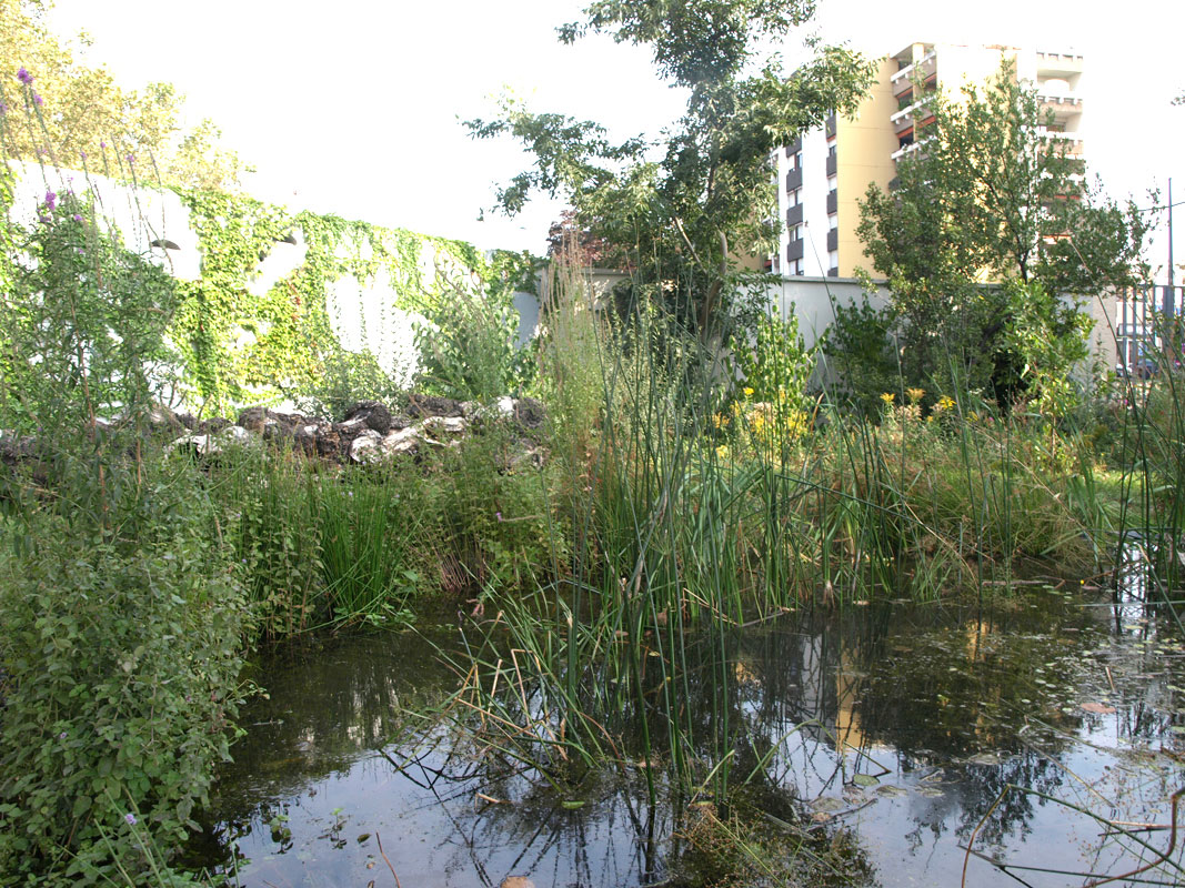 城市教育绿洲 · 埃德瓦·格利桑特花园-12