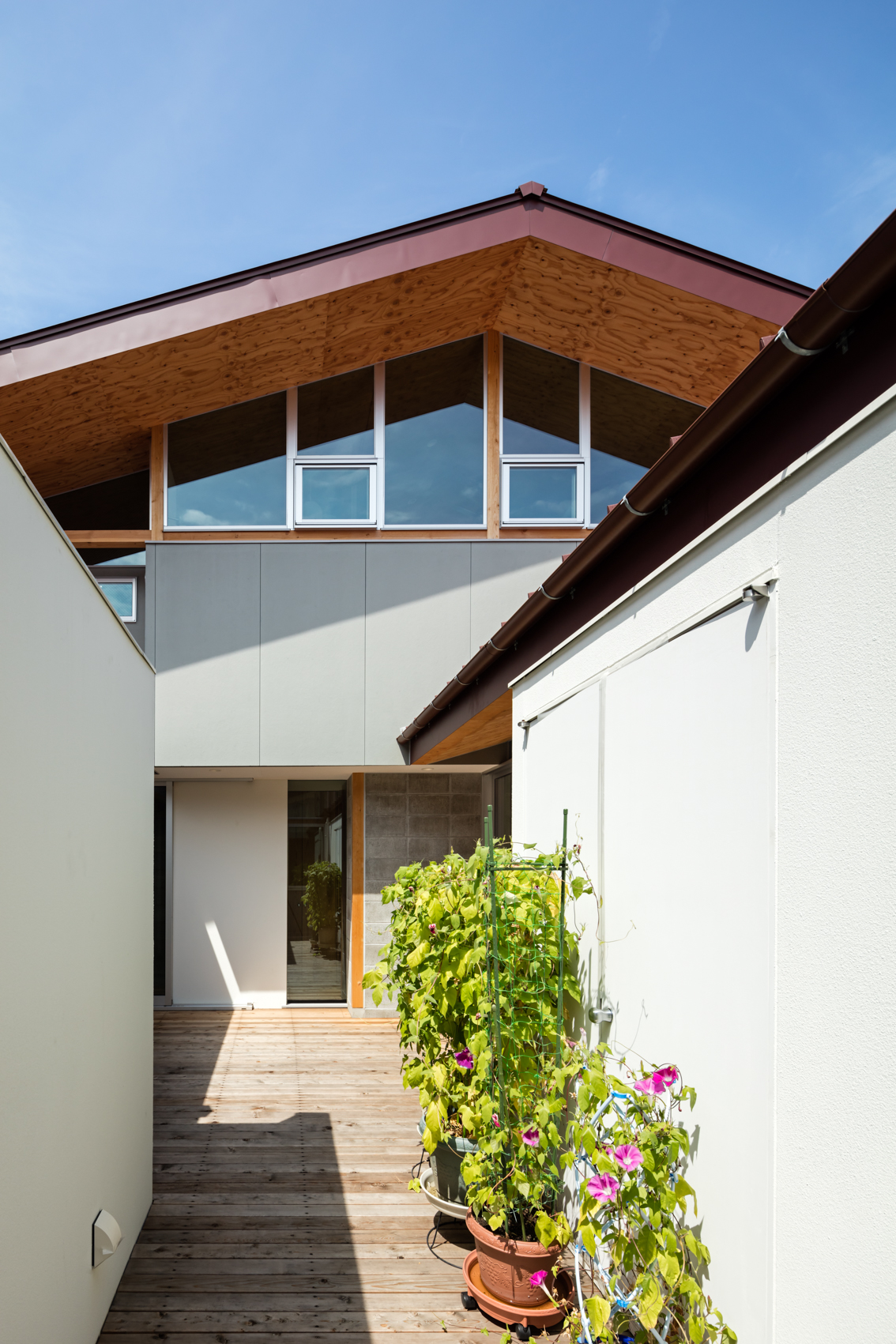 surrounded house 2-3