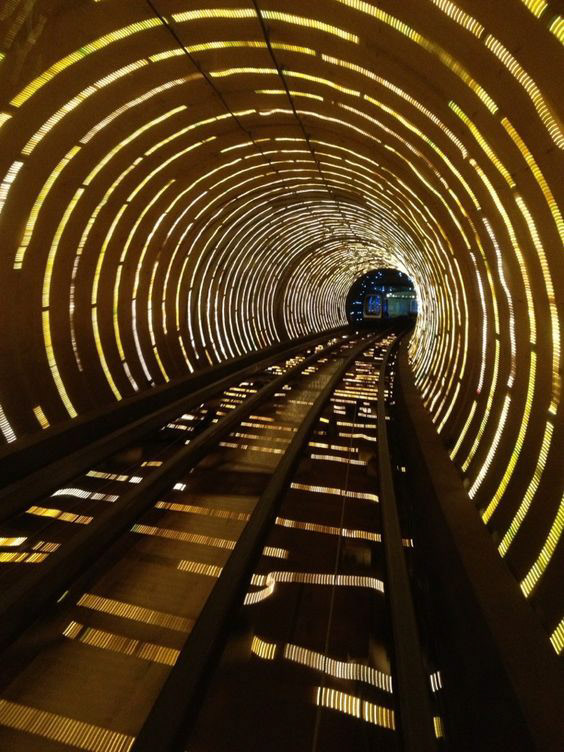 沙特国防部 2024 年世界国防展展览空间设计-2