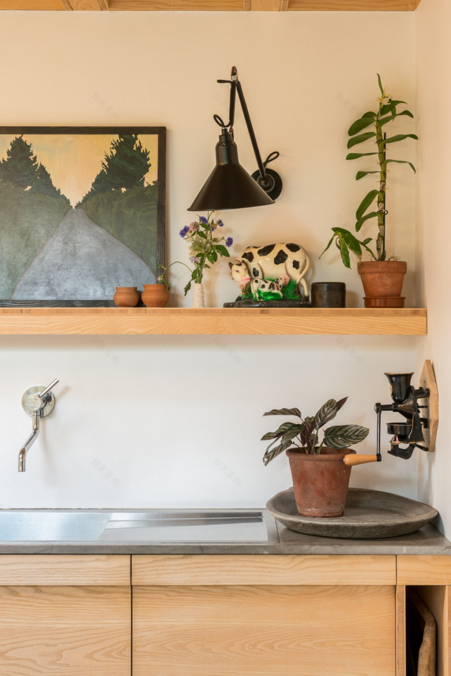 ”维多利亚式住宅的开放设计与绿色空间“-9