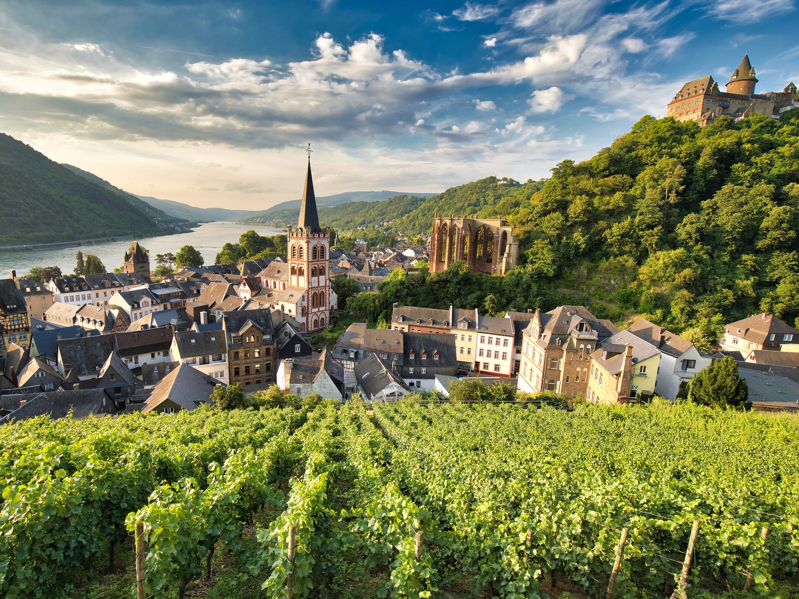 Carnet d'adresses lifestyle | AD Magazine-10