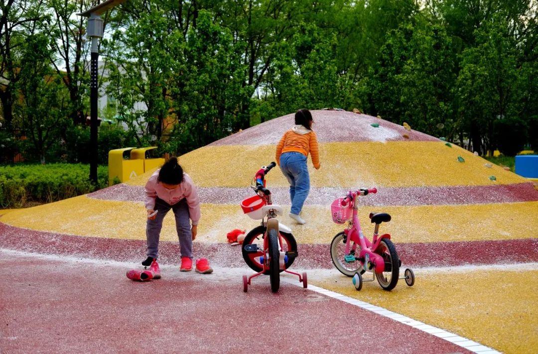 经开区9号绿地景观提升项目(海棠公园)丨中国北京丨北林地景-45