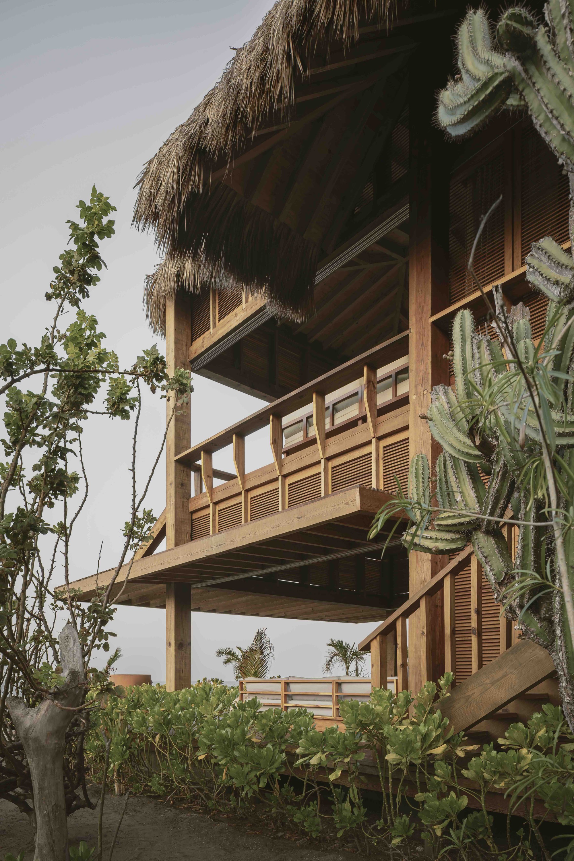 丨墨西哥丨Massív Studio-25