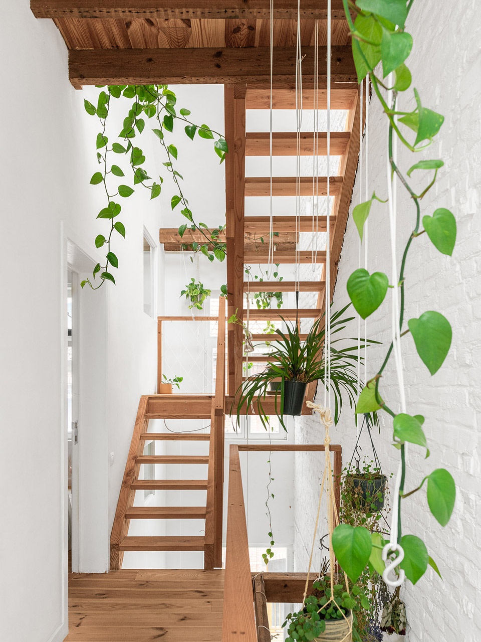 阿斯特丽德女王公园旁的绿色家庭住宅丨Brecht Nele-28