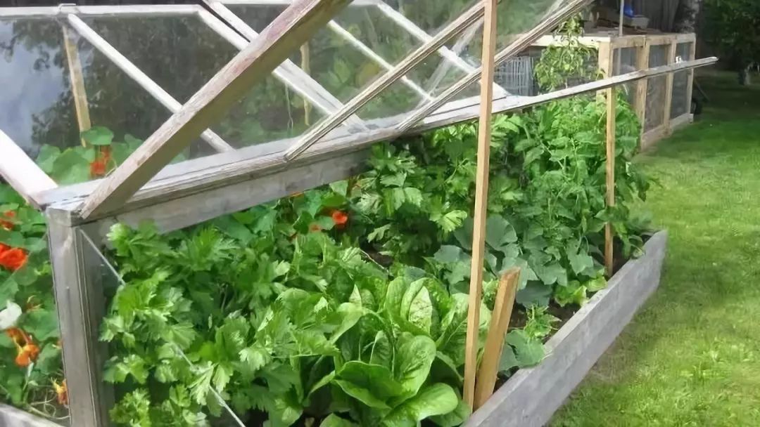 田园拾趣——汉卿菜园设计-27