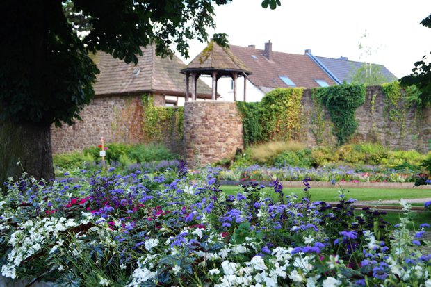 2023 年霍特尔州立花园展

注：Hö·ter可能是一个特定地点名称，若有更准确的信息或标准译法，可按需调整 丨Büro Christian Meyer-10