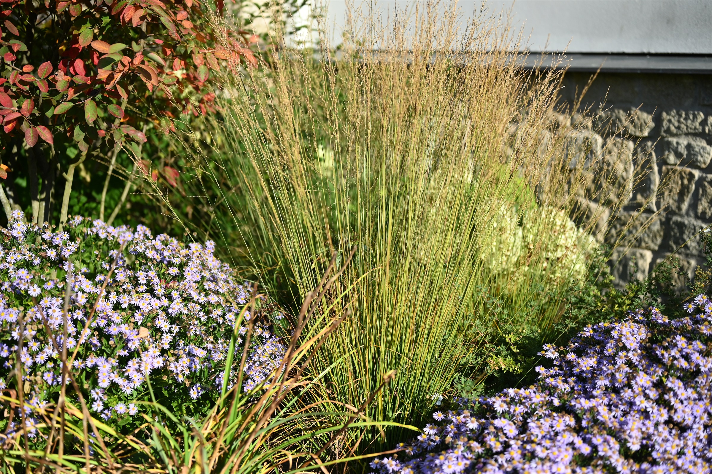 以花园为画布，私家花园设计丨捷克丨Atelier Parter-25