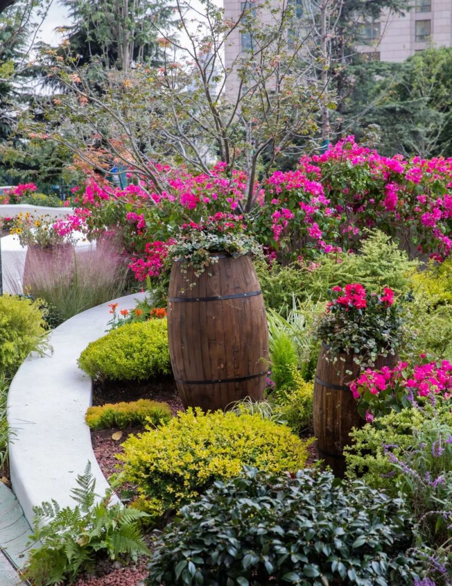 外滩秘境 | 城市花园的时空穿越-182