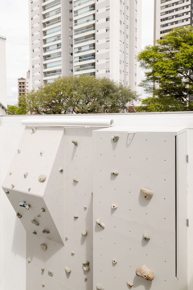 巴西圣保罗 Shed House丨Consuelo Jorge Arquitetos-32