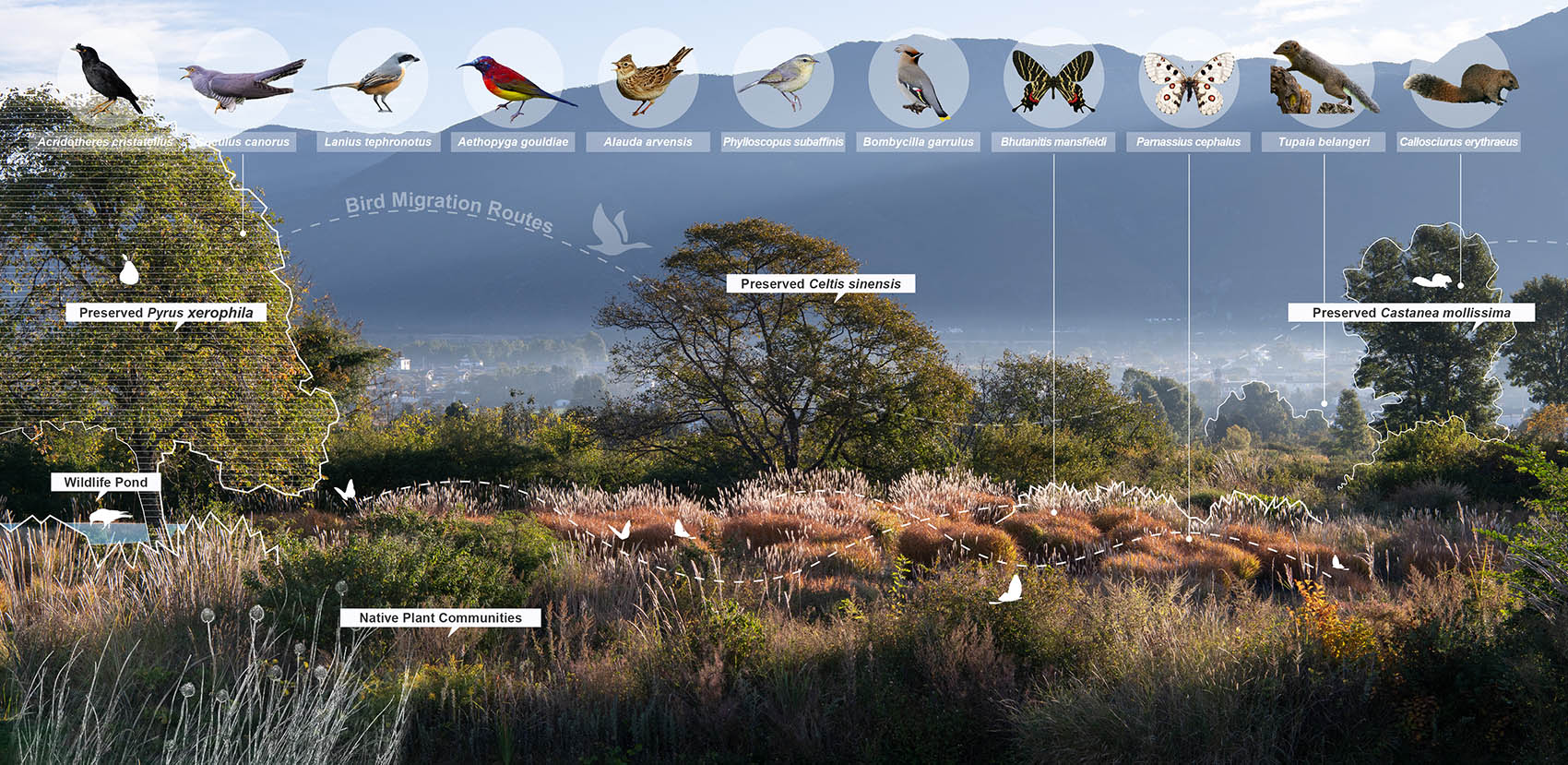 高山花园和草甸剧场丨中国丽江丨致舍景观-33