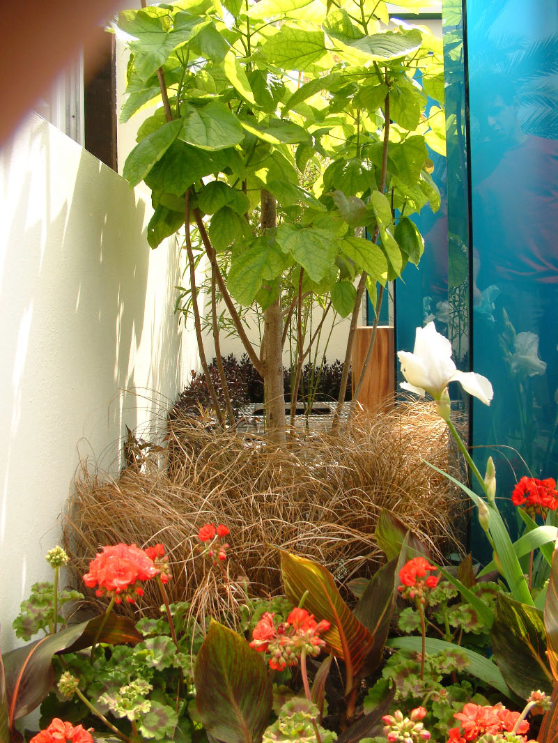 Chelsea Flower Show 2003 - Transcendence Silver Guilt-7