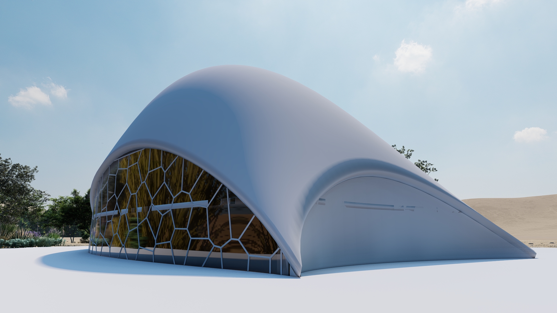 Camel Biomimicry project-1