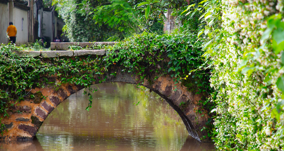 古村落新生 · 传统与现代的共生丨中国-22