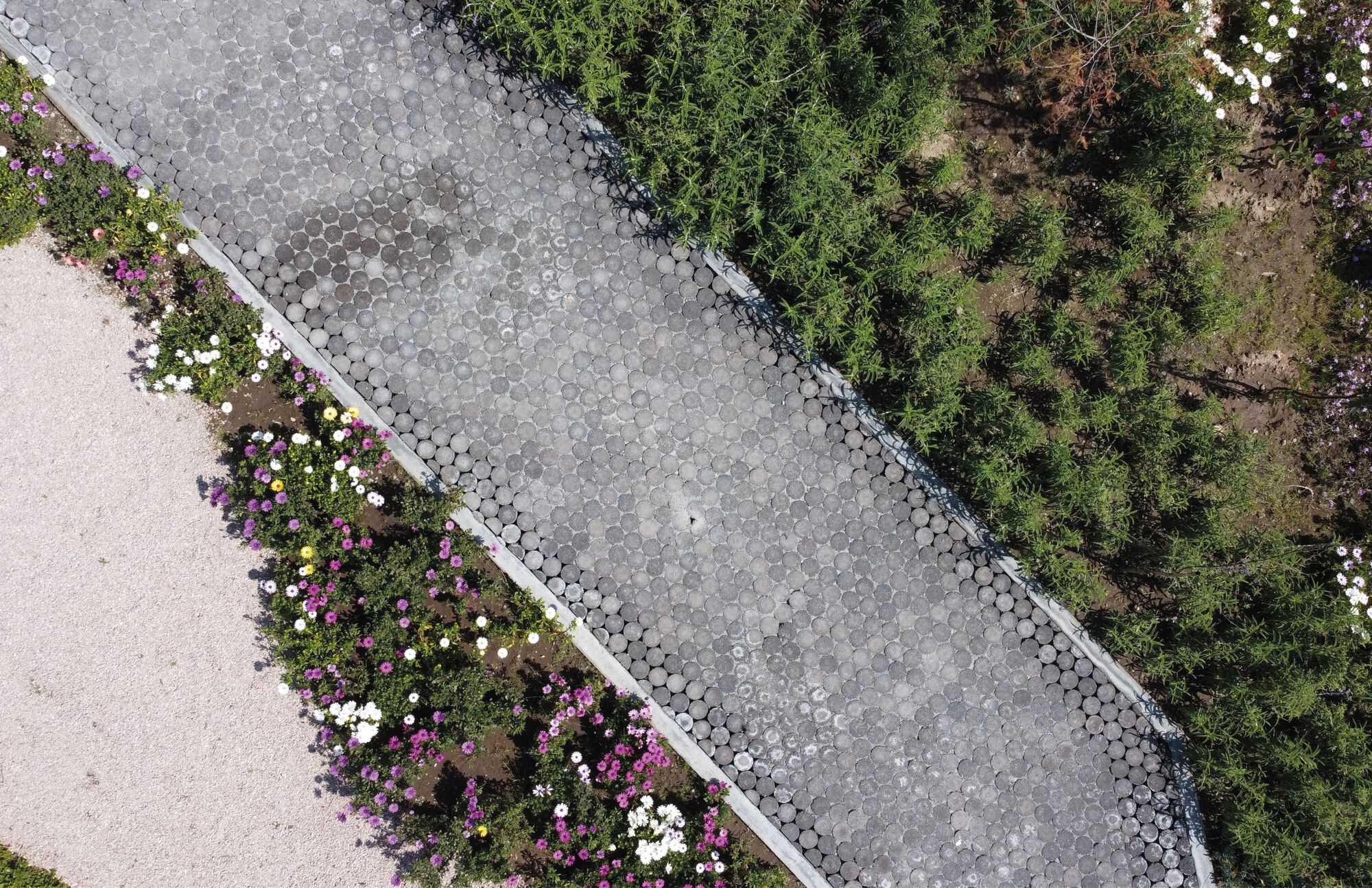 Papalotla 蝴蝶园丨墨西哥丨Taller Capital-22