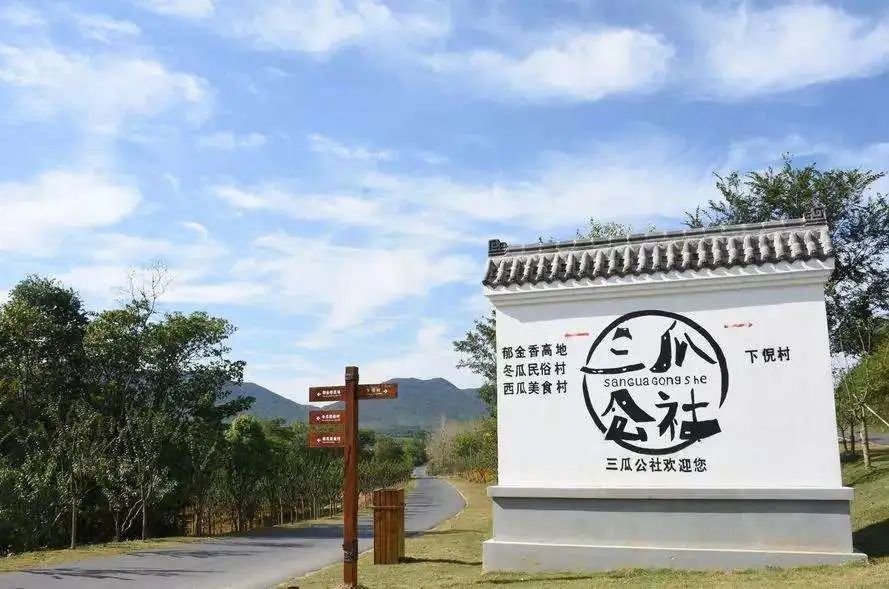 三瓜公社，如何从“穷山村”到“网红村”？-9