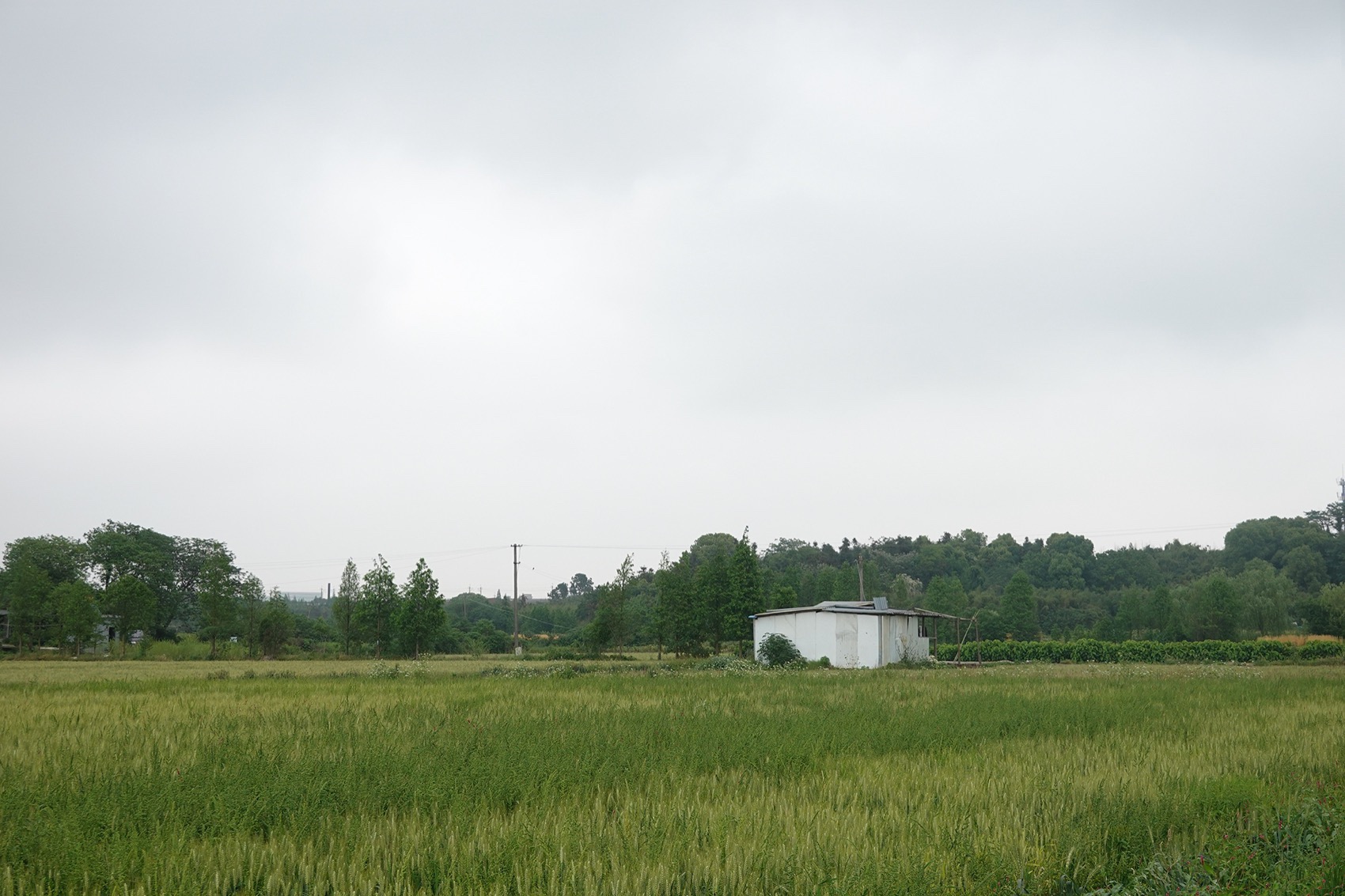 四边庭·文化地理单元实验室丨中国湖州丨ConCom 集良建筑事务所,东南大学建筑设计研究院-35