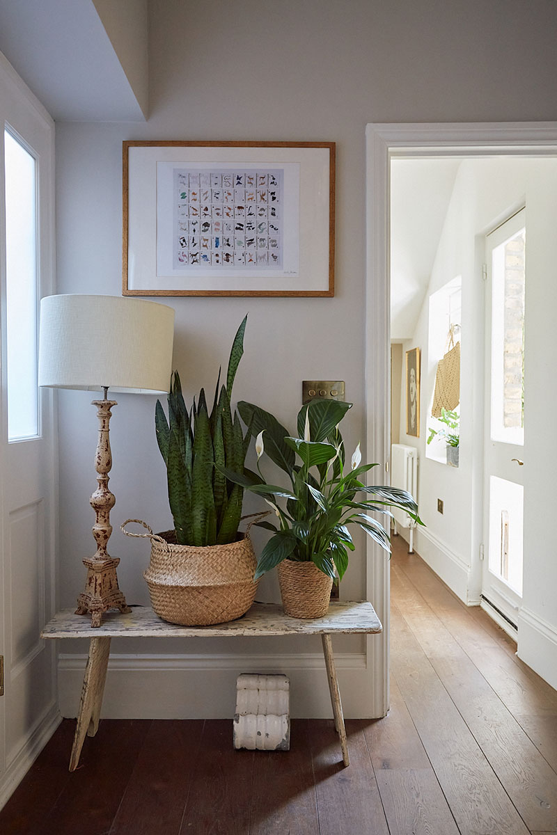 伦敦维多利亚式公寓 | 绿意盎然的英式优雅-19