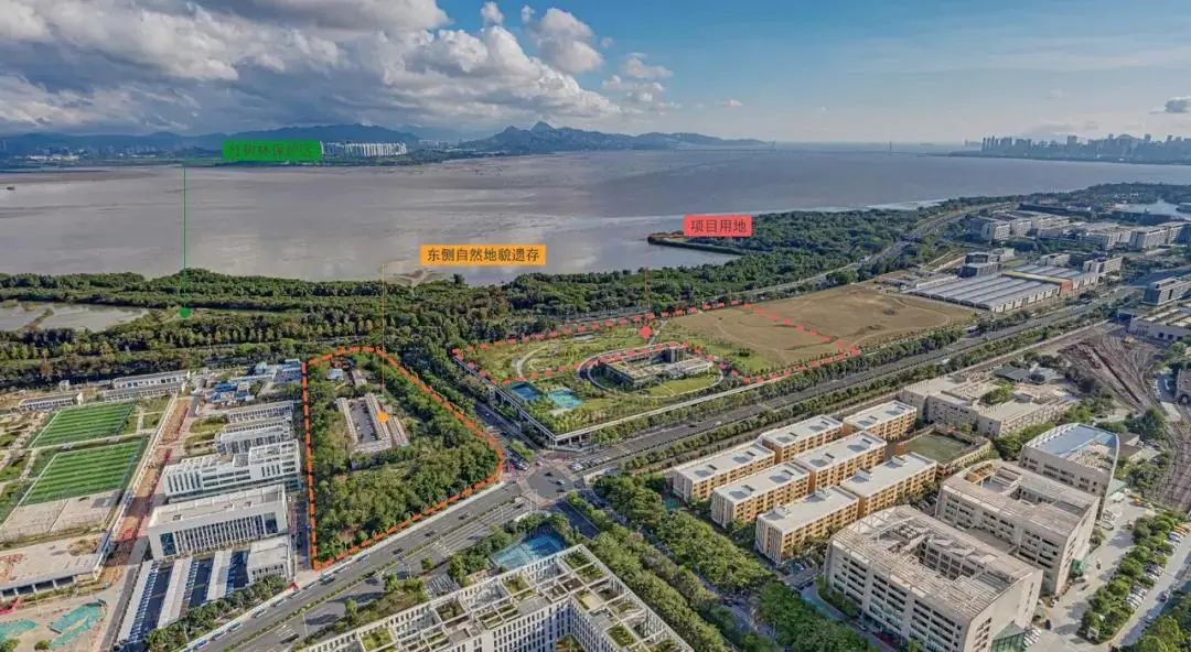 深圳红树林湿地博物馆丨中国深圳丨都市实践+中国城市建设研究院-21