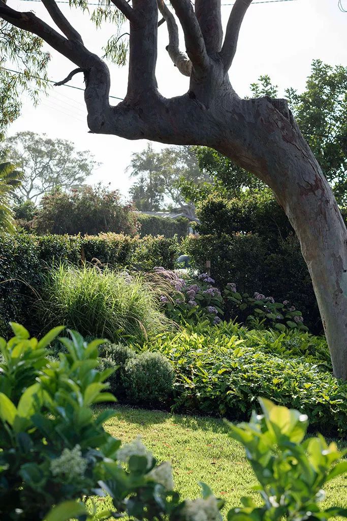 SECRET GARDENS 庭院系列-11