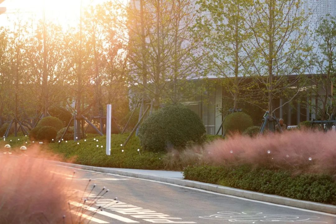 金小瑞的自然探索之旅 | 金辉·优步学府-22