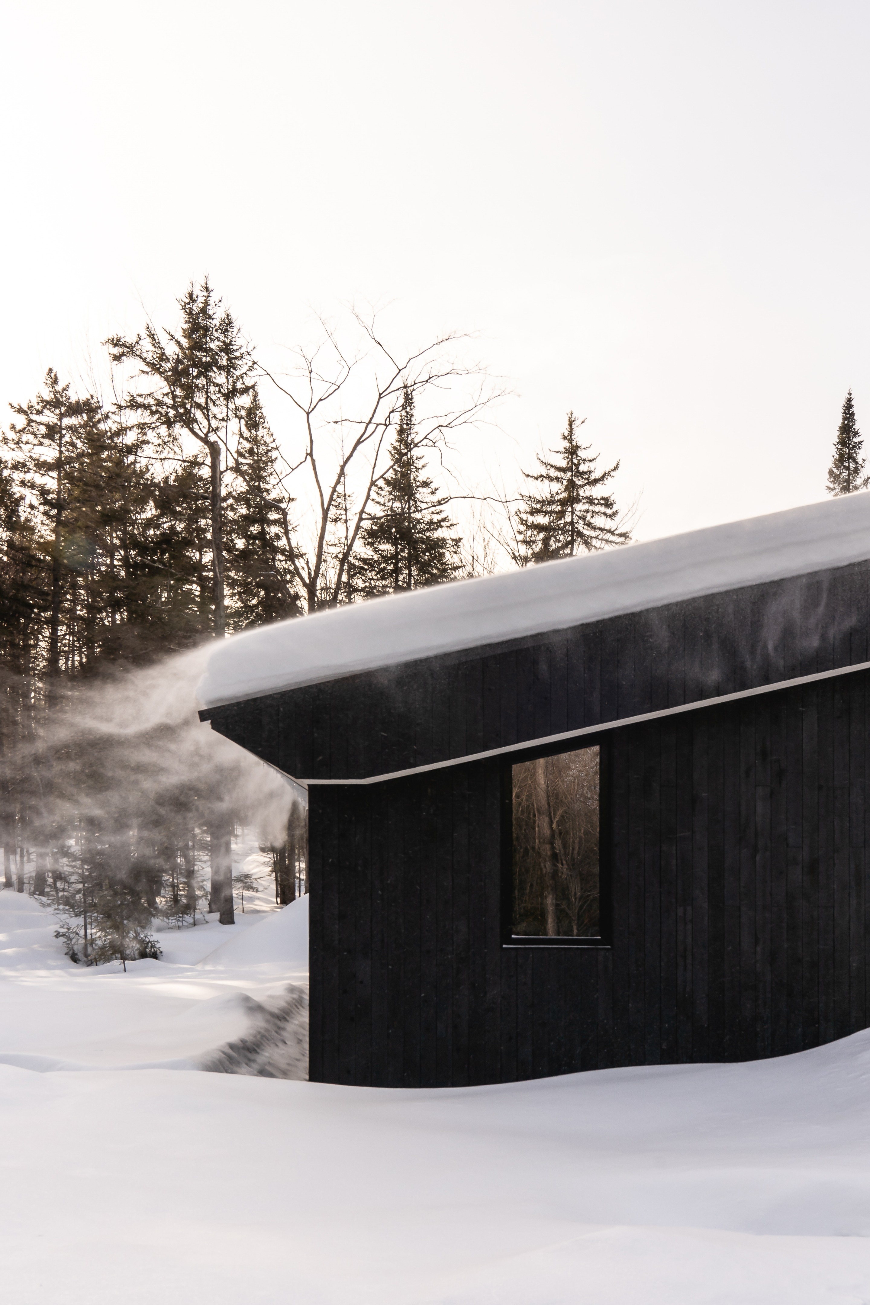 加拿大森林中的艺术创作绿洲丨Nicholas Francoeur-19