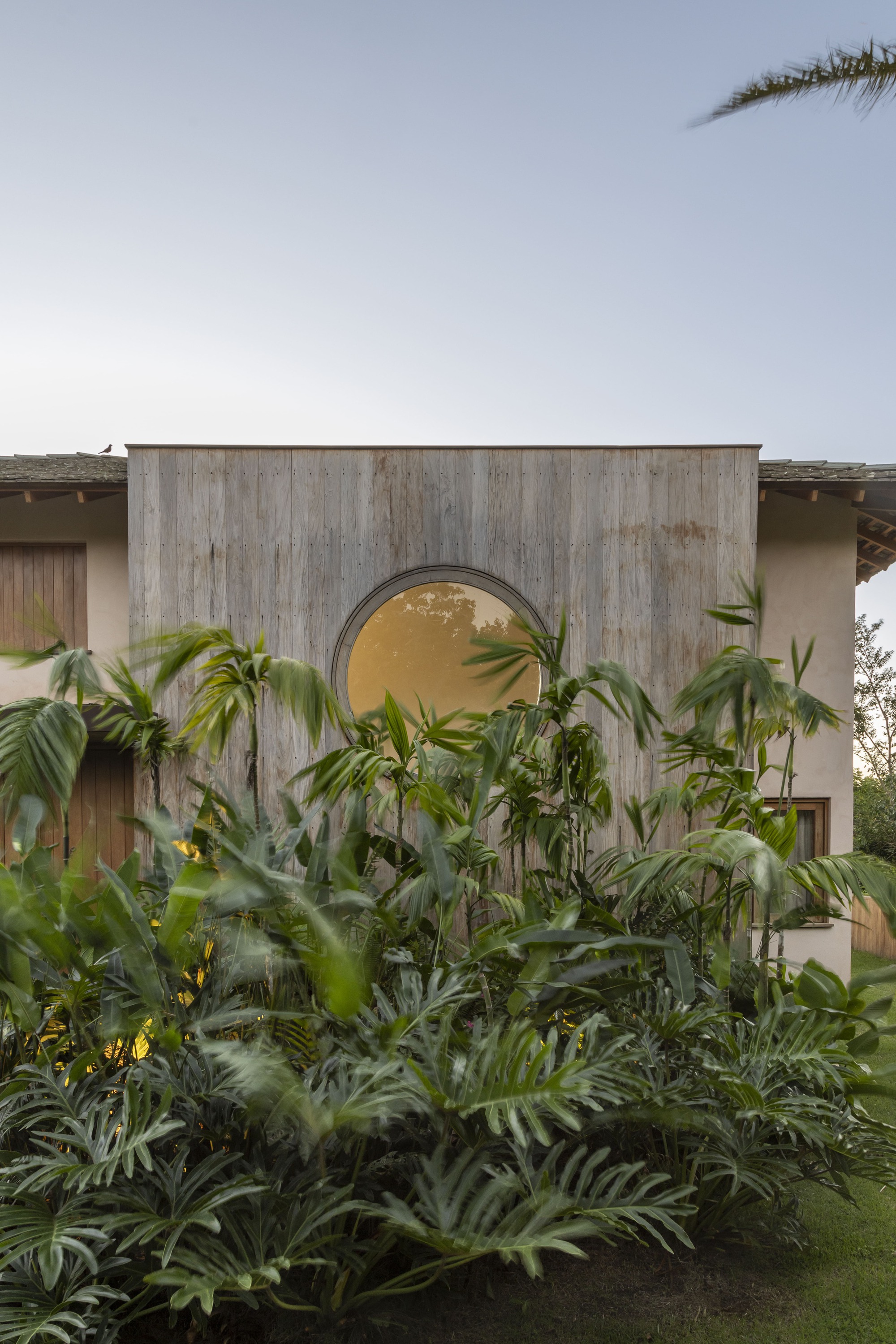 丨巴西巴伊亚-19