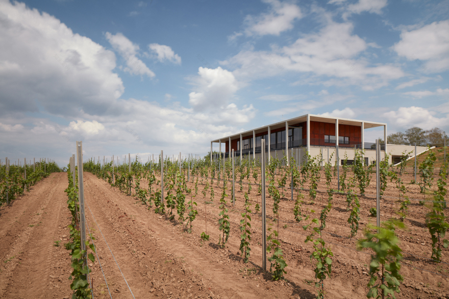 Obelisk酒庄,捷克 / AiD team a.s.-63