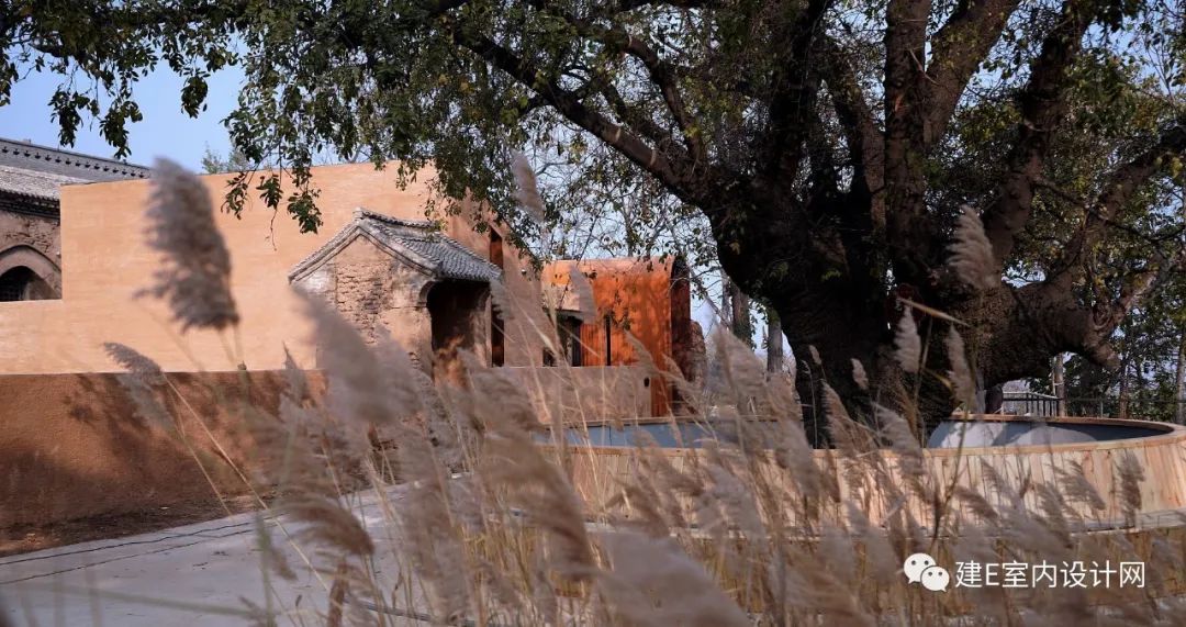 《梦改》孙华锋 | 古村窑洞重生,打造游客心中的“诗和远方”-72