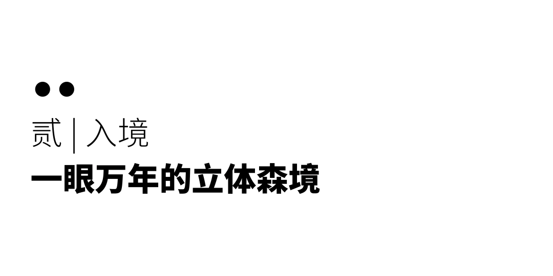 南京金茂樾满云川丨中国南京丨TIANHUA天华-17