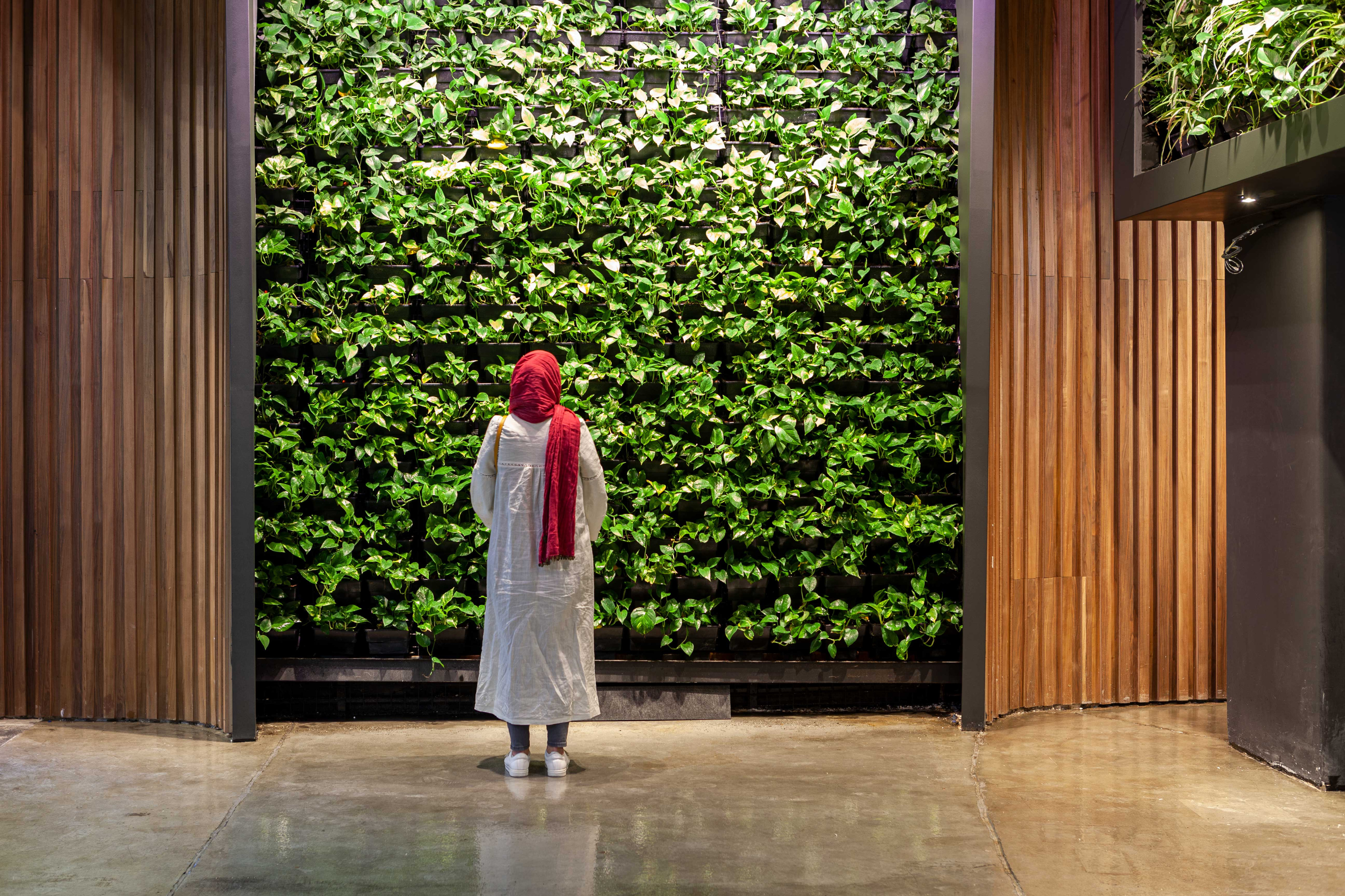 Shemiran 文化和电影综合大楼丨伊朗德黑兰-29