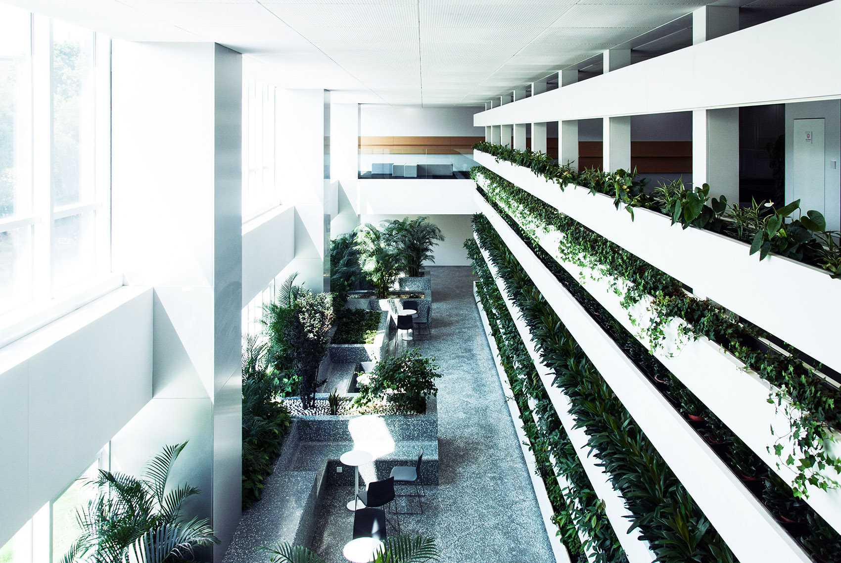 敏实集团办公室，嘉兴，浙江 / 超越工作室-5