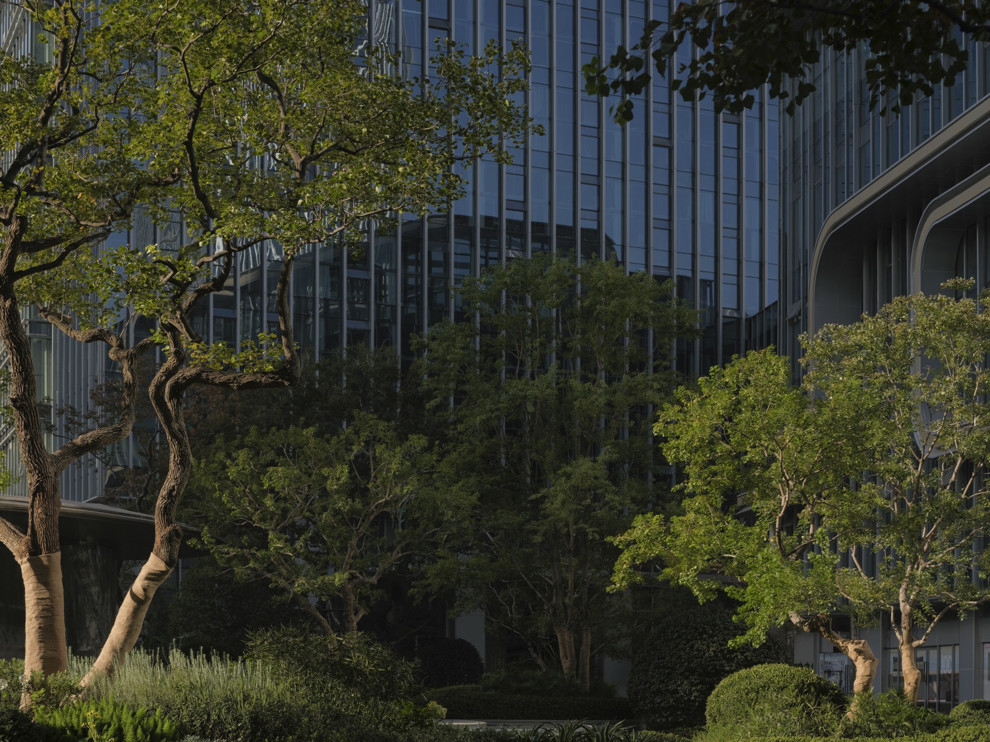 众安·IOC丨中国杭州丨杭州九沐景观设计有限公司-88