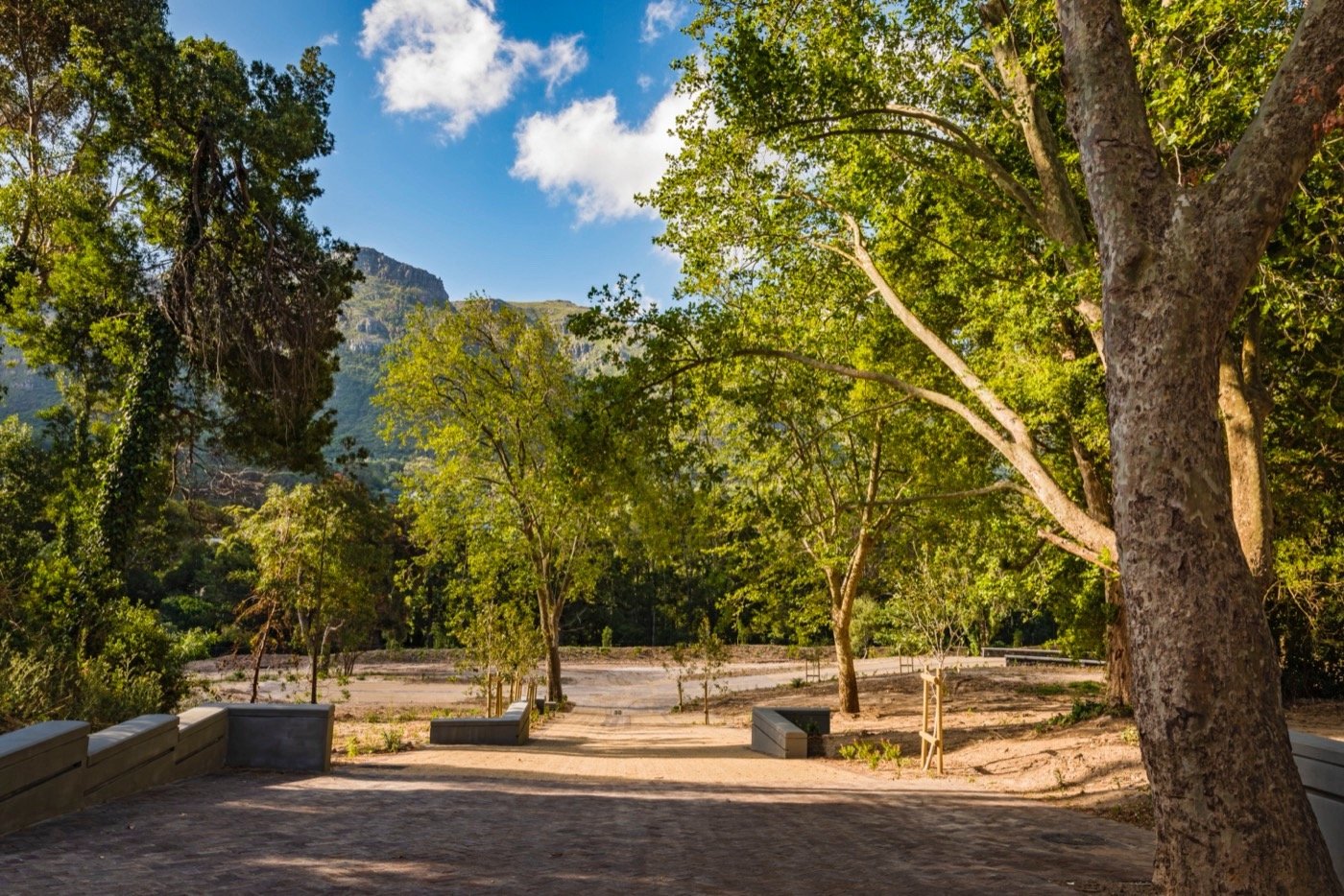 南非阿普尔加思庄园-18