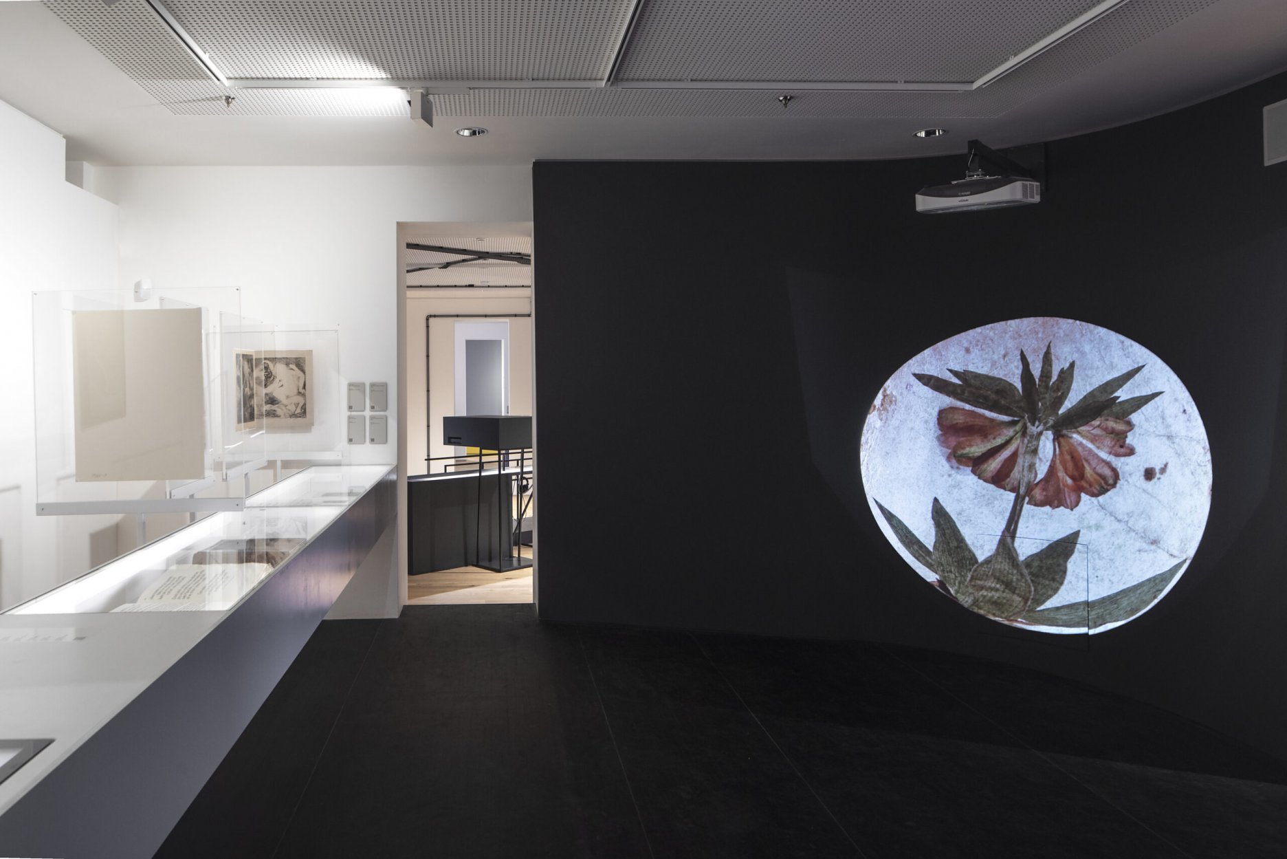 布拉格文学博物馆常设展览丨捷克丨OBJEKTOR ARCHITEKTI-34