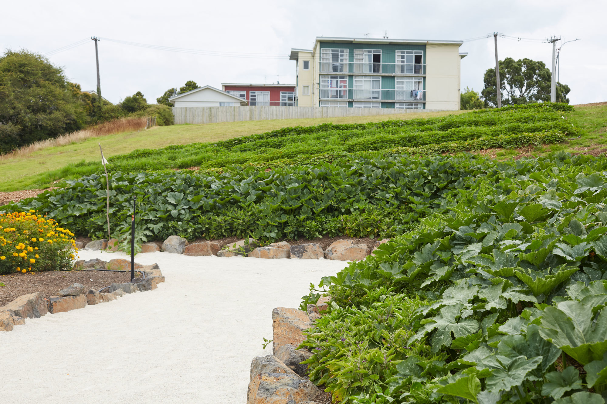 丨新西兰奥克兰丨Xanthe White,James Walkinshaw-21