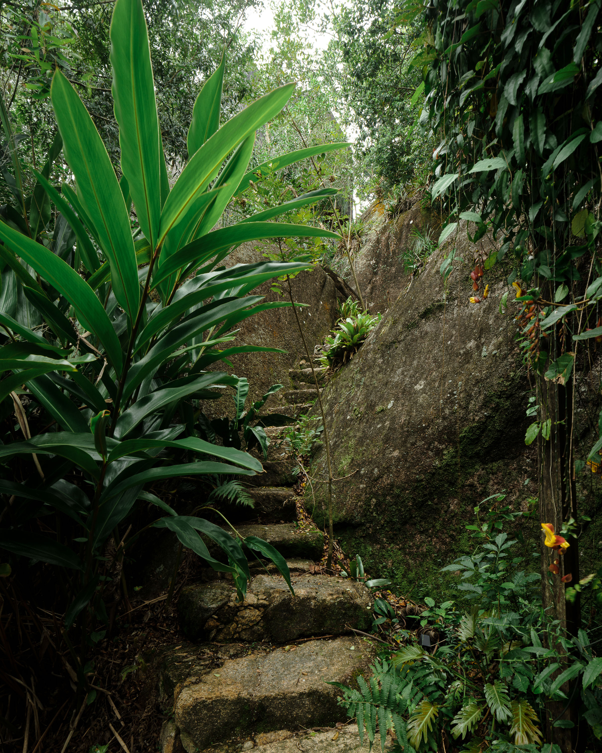 罗莎佛罗里达宾馆丨巴西丨WaCa Design,Julia Kosciuk-27