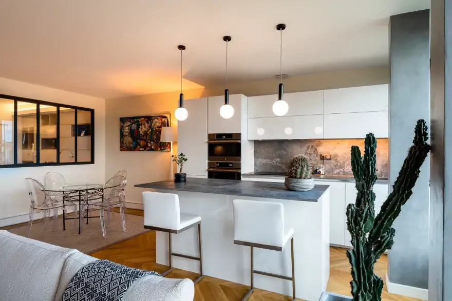 巴黎 80m²公寓,单面采光的两室设计-5