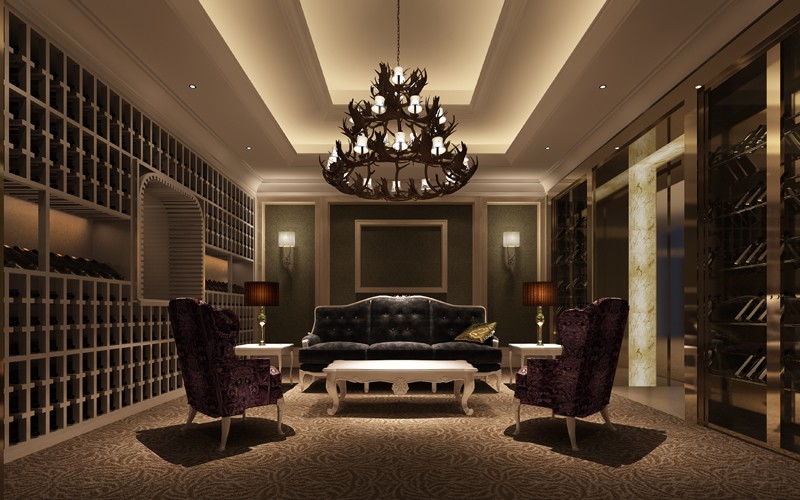 湖南鑫远白天鹅大酒店-11