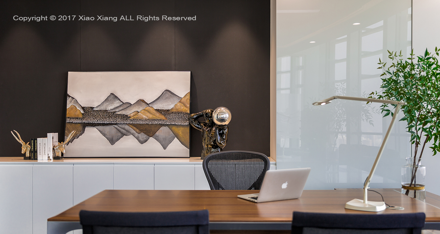 英美集团上海新办公室-8