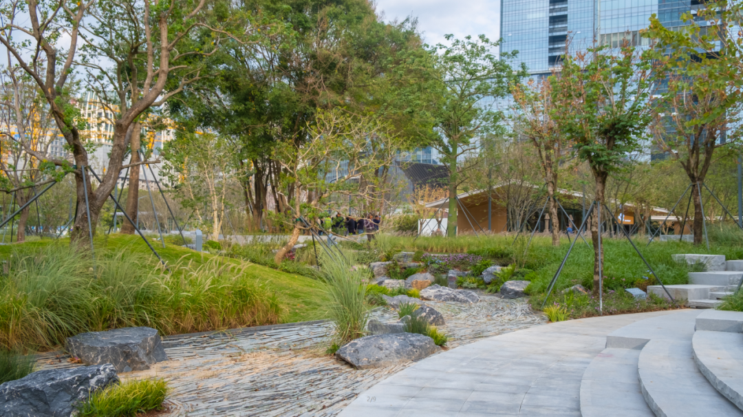 智见 · 云上 | 云之园 CLOUD PARK-130