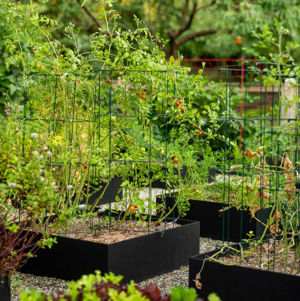 丨Janice Parker Landscape Architects-8