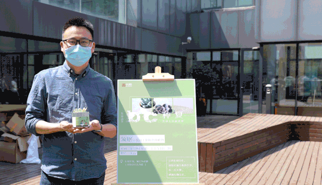 夏日生机 | DC 种夏活动中的多肉植物室内设计赏析-34