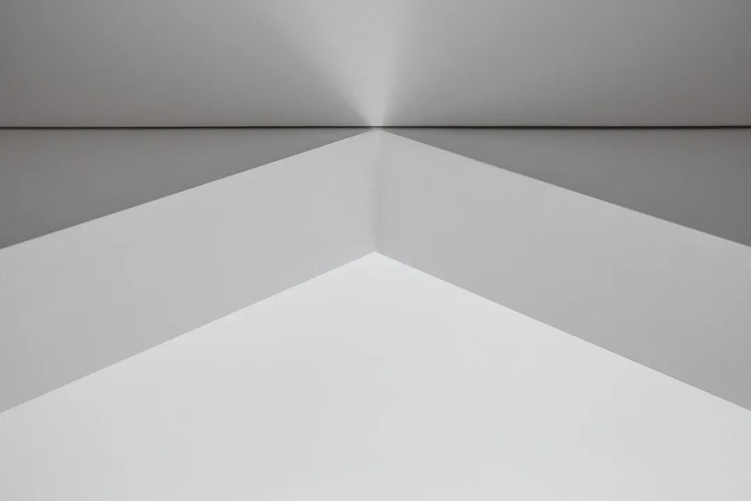 维尔纽斯生活区 36 平米小公寓惊艳变身-27