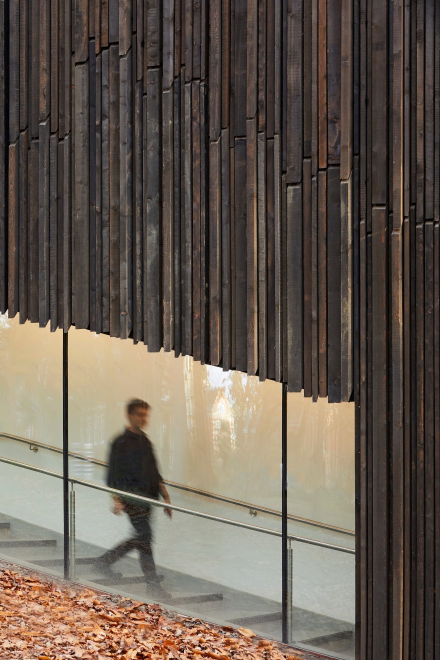 森林中的圆形艺术馆-21