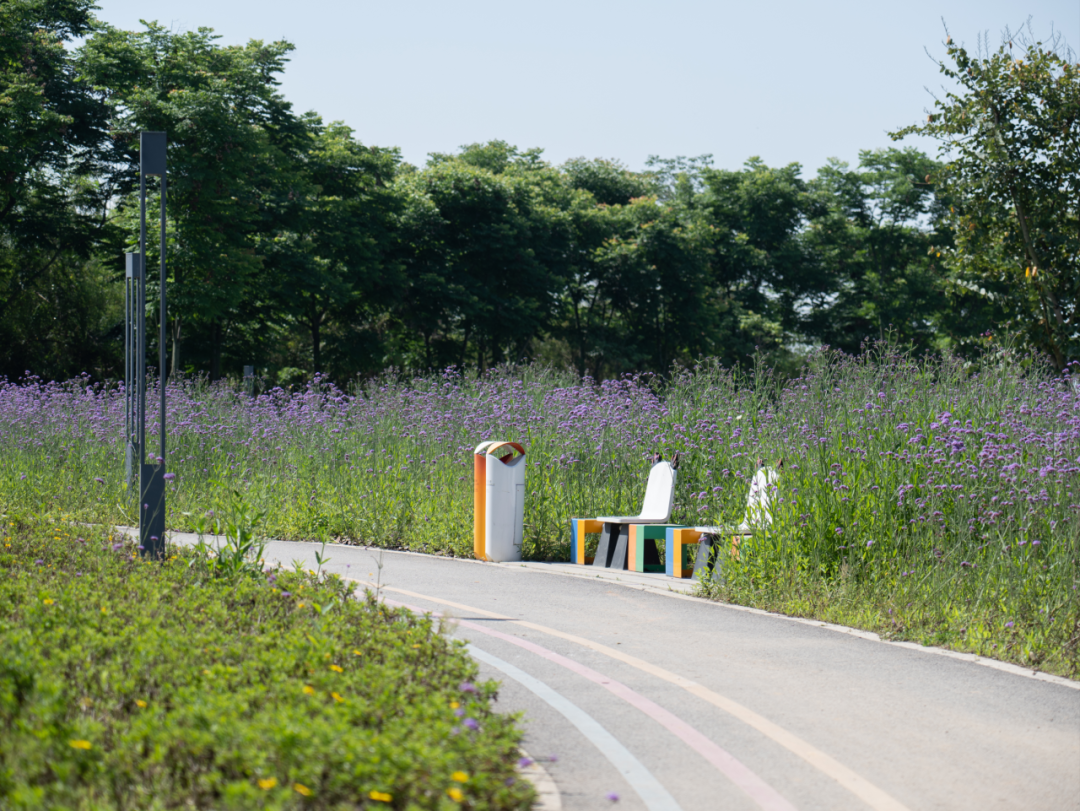 那条飘带 等你触碰:成都大运公园,BOXI柏熙标识丨中国成都丨上海柏熙标识有限公司-69