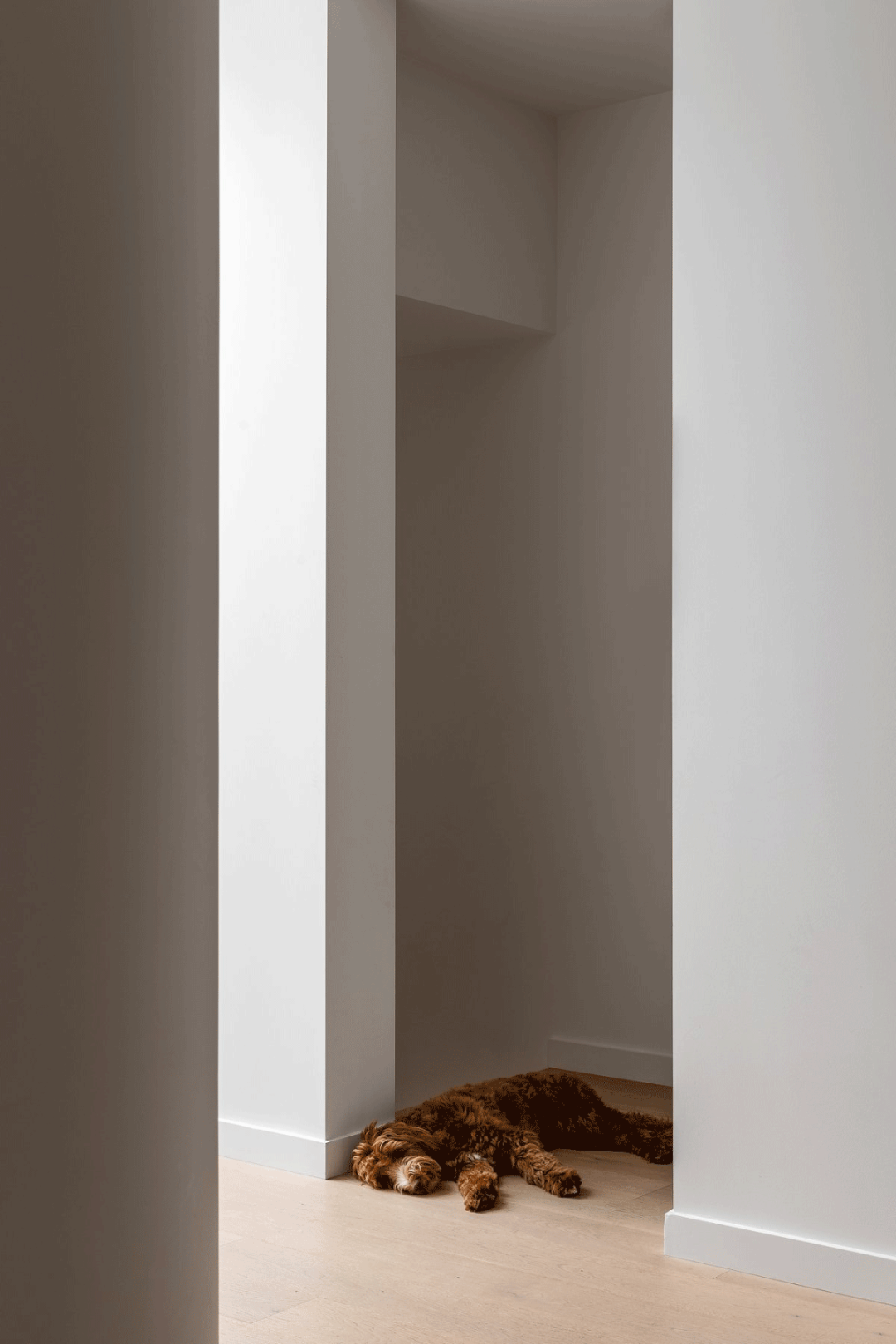 Camberwell 住宅的现代中世纪设计丨澳大利亚丨INFORM DESIGN-29