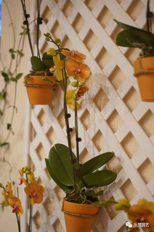 乐梵造园 | 成都滨江地产的花园房设计-84