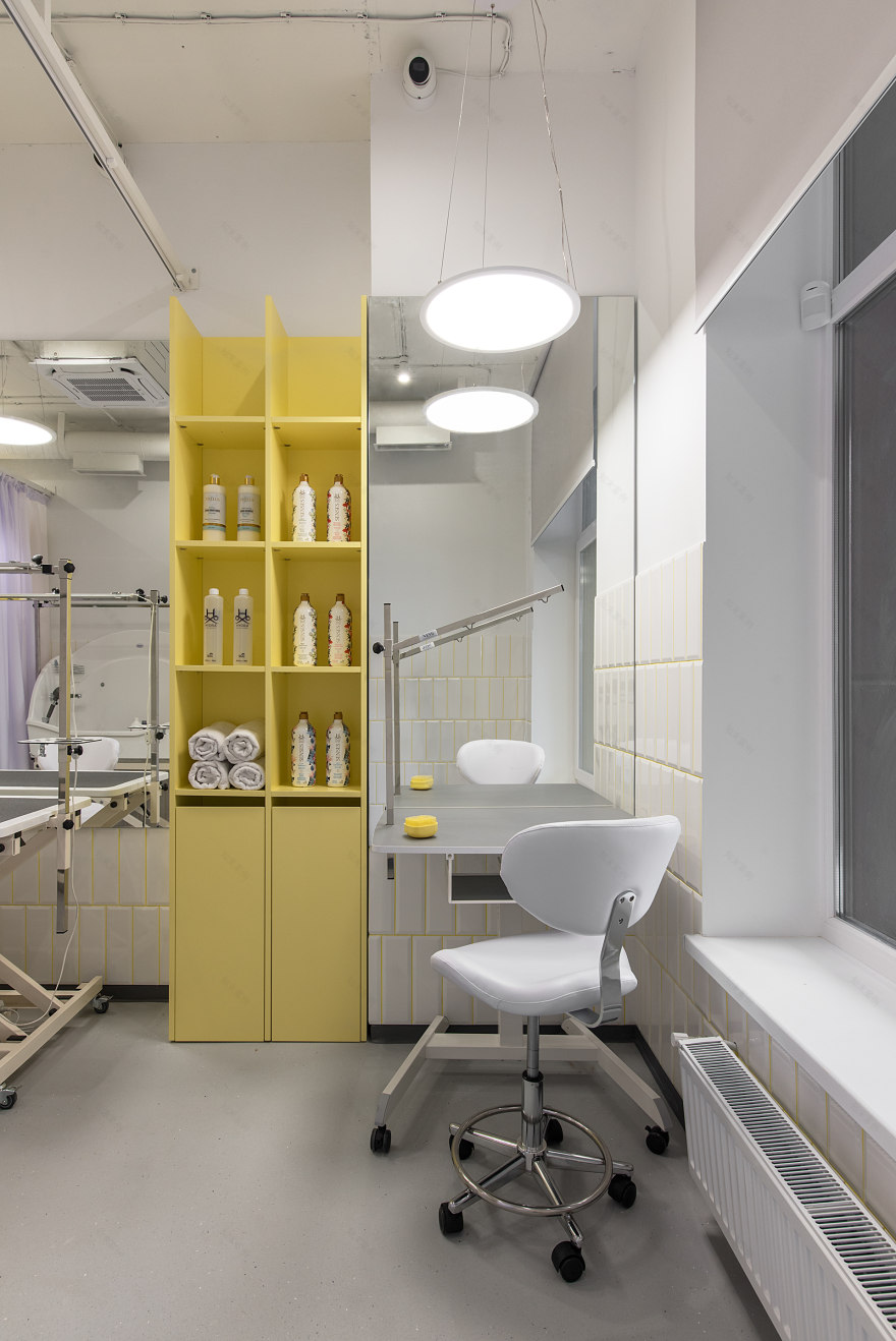 宠物医院丨乌克兰基辅-42