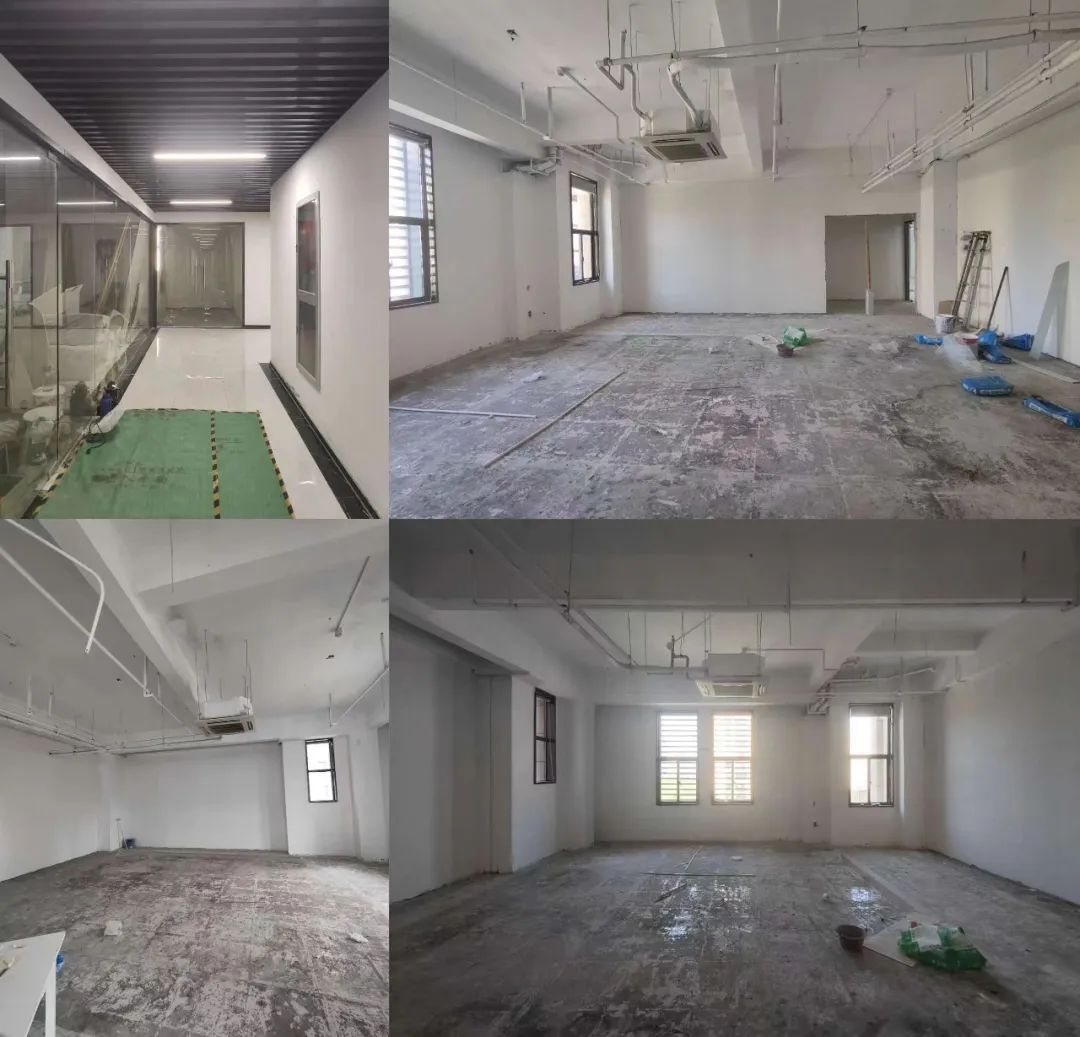 HS 新作 小猫一二只丨中国杭州丨绘狩-8