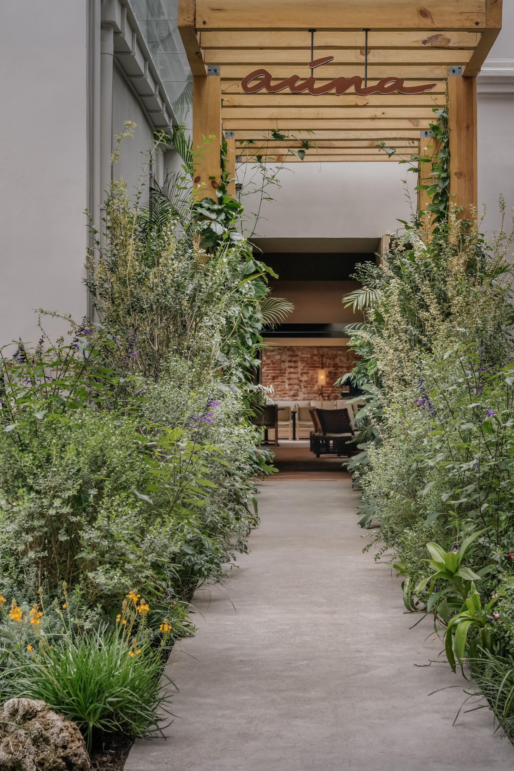 AÚNA 餐厅丨墨西哥墨西哥城丨MRD Arquitectos-13